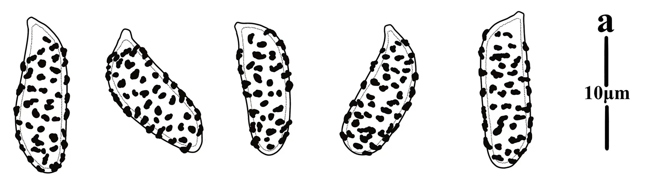 Figure 130